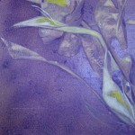 artwork - Aika Hladíková - Rostoucí zvědavost